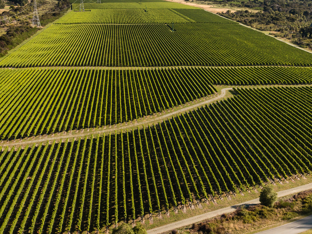 Flying High-Tech in the Vineyard