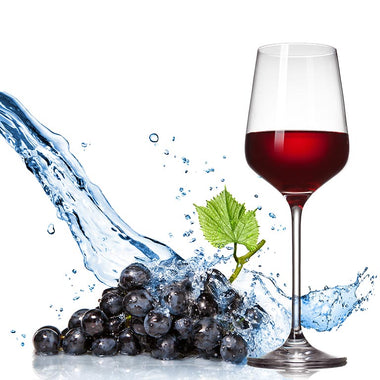 The Importance of Water for Wineries