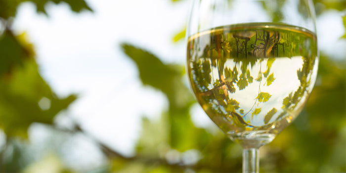 The Wine Business – Let's Keep it Real - wine glass with white wine and trees in background