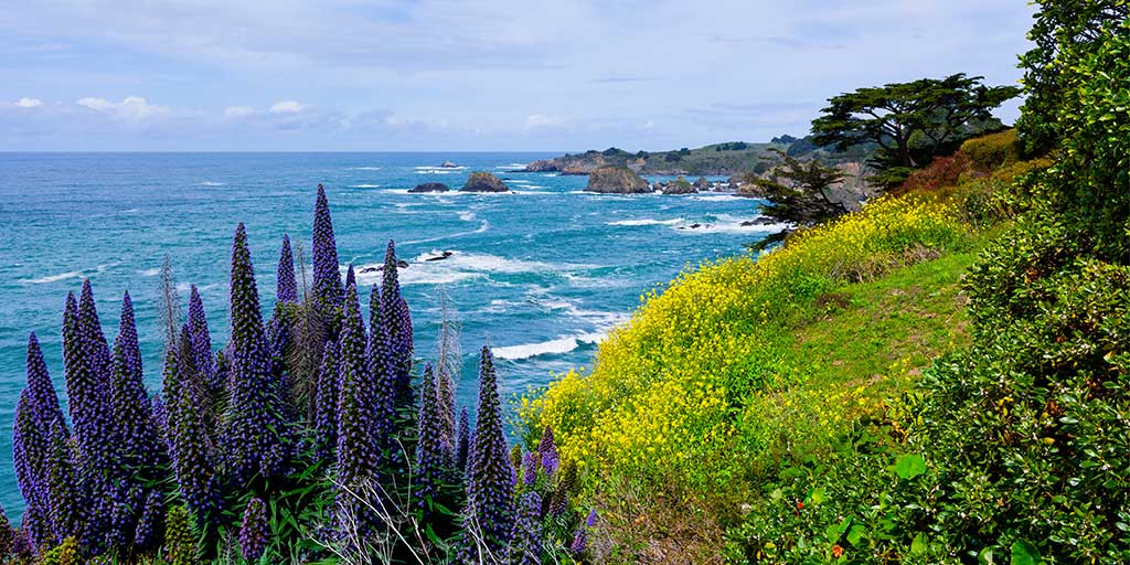 Mendocino coastline