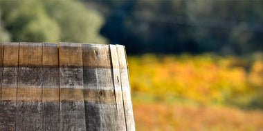 Oak Alternatives in Winemaking