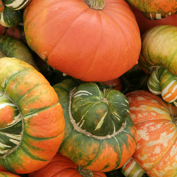 AutumnGourds