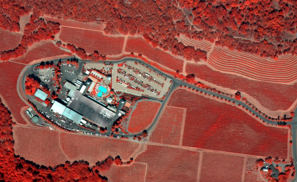 Color infrared image of the Coppola Winery