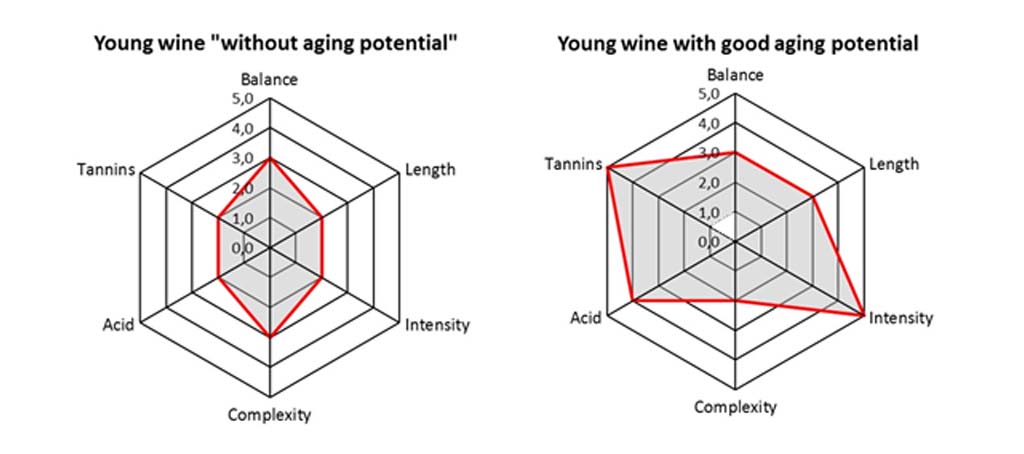 Young wine without aging potential and yougng wine with good aging potential graphic